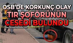 OSB'de korkunç olay: Tır şoförü ölü bulundu