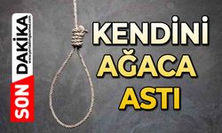 Kendini ağaca astı