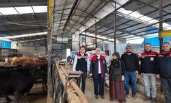 Düzce Üniversitesi ÜNİDES sıralamalarında ilk 10'da