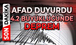 AFAD duyurdu:  4.2 büyüklüğünde deprem