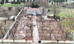 65 yaş üstü sosyal tesis