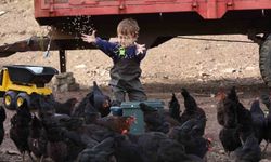 Çiftçinin yüzünü güldüren destekler rakamlara yansıdı