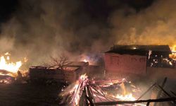 Çıkan yangında çok sayıda yapı küle döndü