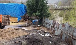 Dereye hayvansal atık bırakan çiftlikler yakalandı