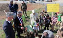 Fidanlar toprakla buluştu