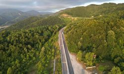 Google'da 3,5 milyon kez aranan Bolu Dağı tartışmasının altından bakın ne çıktı