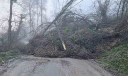 Heyelan köy yolunu ulaşıma kapattı