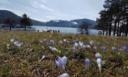 Karların ardından bahar manzarası