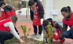 Öğrenciler hatıra fidanlarını toprakla buluşturdu