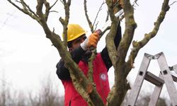 Tarım Akademisi'nden tarımsal kalkınmaya destek