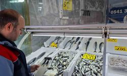 Yasak öncesi balık satış yerleri denetlendi