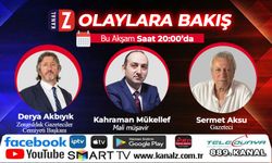 Olaylara Bakış bu akşam KANAL Z'de