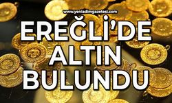 Ereğli’de altın bulundu