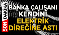Banka çalışanı kendini elektrik direğine astı