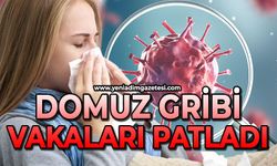 Domuz gribi vakalarında artış