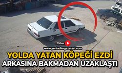 Yolda yatan köpeği ezdi: Arkasına bakmadan uzaklaştı