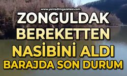 Zonguldak bereketten nasibini aldı