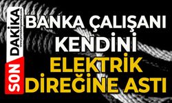 Banka çalışanı kendini elektrik direğine astı