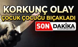 Korkunç olay: Çocuk çocuğu bıçakladı