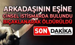 Arkadaşının karısına cinsel istismarda bulundu: Bıçaklanarak öldürüldü