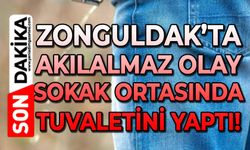 Zonguldak'ta akılalmaz olay: Sokak ortasında tuvaletini yaptı!