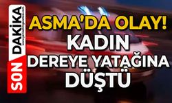 Asma'da olay: Kadın dere yatağına düştü