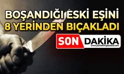 Boşandığı eşini bıçakladı