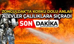 Zonguldak’ta korku dolu anlar: Alevler çalılıklara sıçradı