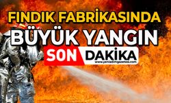 Fındık fabrikasında büyük yangın