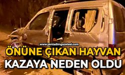 Önüne çıkan hayvan kazaya neden oldu