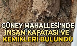 Güney Mahallesi'nde insan kafatası ve kemikler bulundu