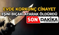 27 yaşındaki eşini bıçaklayarak öldürdü