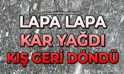 Lapa lapa kar yağdı: Kış geri döndü