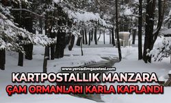 Kartpostallık manzara: Çam ormanları karla kaplandı