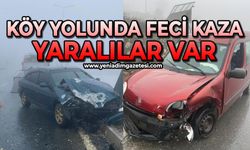 2 aracın karıştığı kazada 2 kişi yaralandı