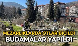 Mezarlıklarda otlar biçildi: Budamalar yapıldı