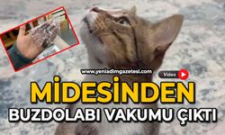 Midesinden buzdolabı vakumu çıktı