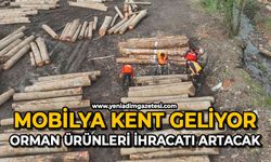 Mobilya kent geliyor: Orman ürünleri ihracatı artacak