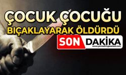 Korkunç olay: Çocuk çocuğu bıçaklayarak öldürdü