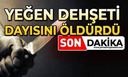 Dayısını acımadan bıçakladı