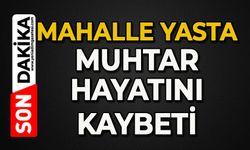Mahalle yasta: Muhtar hayatını kaybetti