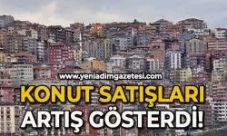 Zonguldak emlak piyasasında Şubat bilançosu açıklandı