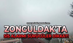 Zonguldak'ta sis etkili oldu