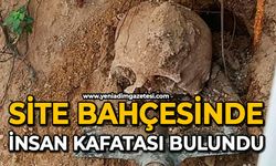 Site bahçesinde insan kafatası bulundu