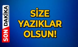 Size yazıklar olsun!