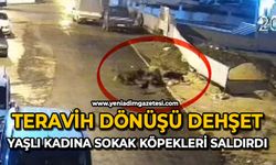 Teravih dönüşü dehşet: Yaşlı kadına sokak köpekleri saldırdı