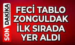 Feci tablo: Zonguldak ilk sırada yer aldı