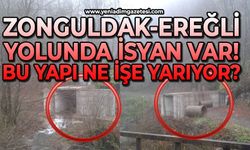 Zonguldak-Ereğli yolunda isyan var: Bu yapı ne işe yarıyor?