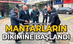 Mantarların dikimine başlandı