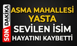 Asma üzüntüye boğuldu: Remzi Tevlek hayatını kaybetti